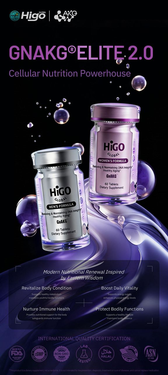 higonline5d